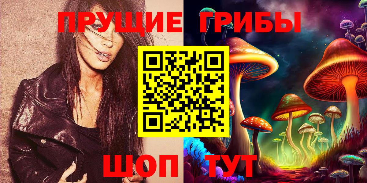 Энгельс  Псилоцибиновые грибы Magic Shrooms  даркнет сайт  Вход с VPN 